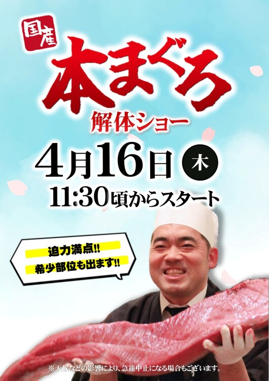 本まぐろ解体ショー開催決定‼┃4月16日(木)11:30頃スタート♪